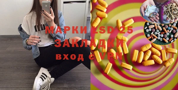 прущая мука Вяземский