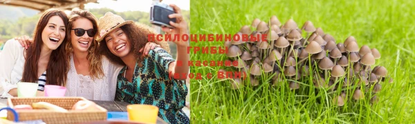 гидропоника Вязьма